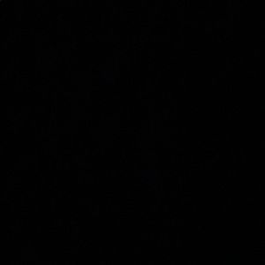 Meet your Posher, Rafael